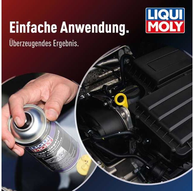Motorversiegelung – Bild 6
