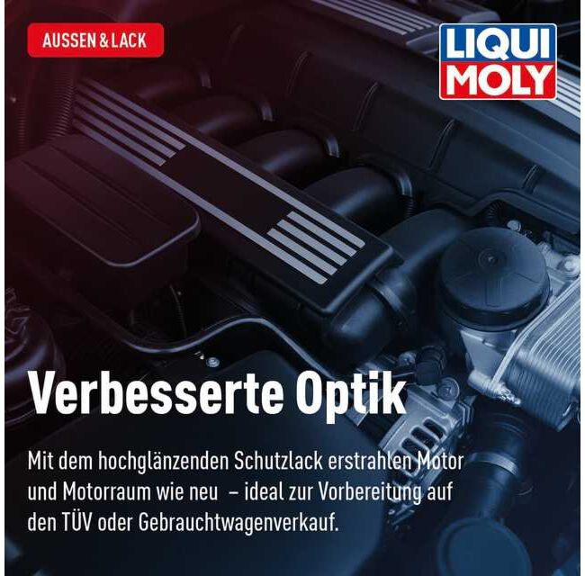 Motorversiegelung – Bild 12