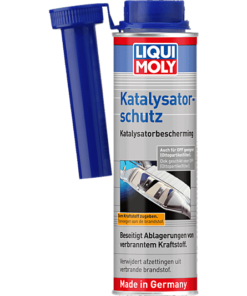 Katalysatorschutz