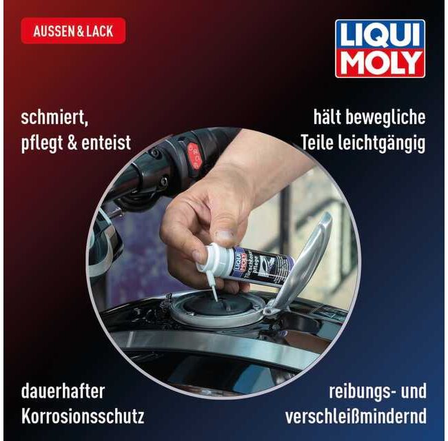 Türschlosspflege – Bild 9