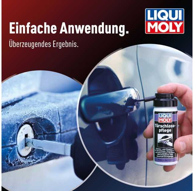 Türschlosspflege – Bild 7