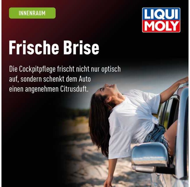 Cockpitpflege citrus – Bild 7