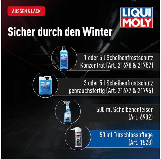 Türschlosspflege – Bild 15