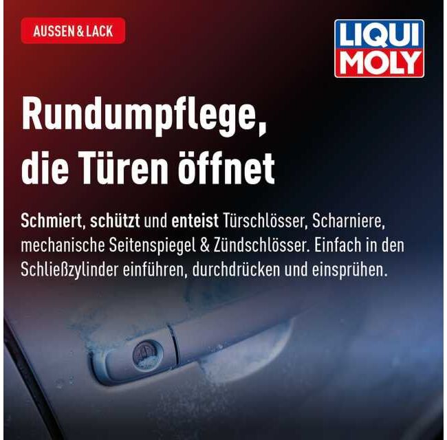 Türschlosspflege – Bild 11